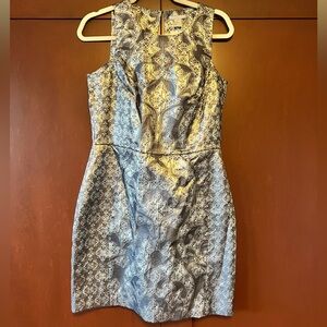 H&M NWT Size 12 Brocade Silver/Gray Mini Dress